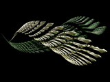 fractale 3D
