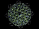 fractale 3D