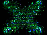 fractale 3D sweat