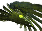 fractale 3D