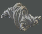 fractal 3D