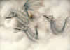 image dragon