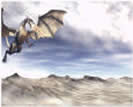 image dragon