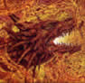 image dragon