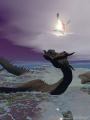 image dragon