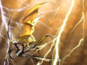 image dragon