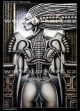 biomechanik