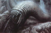 H R GIGER