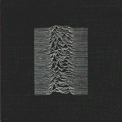 joy division