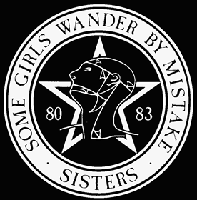 The sisters of mercy