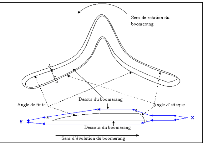 schema boomerang