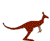 kangourou
